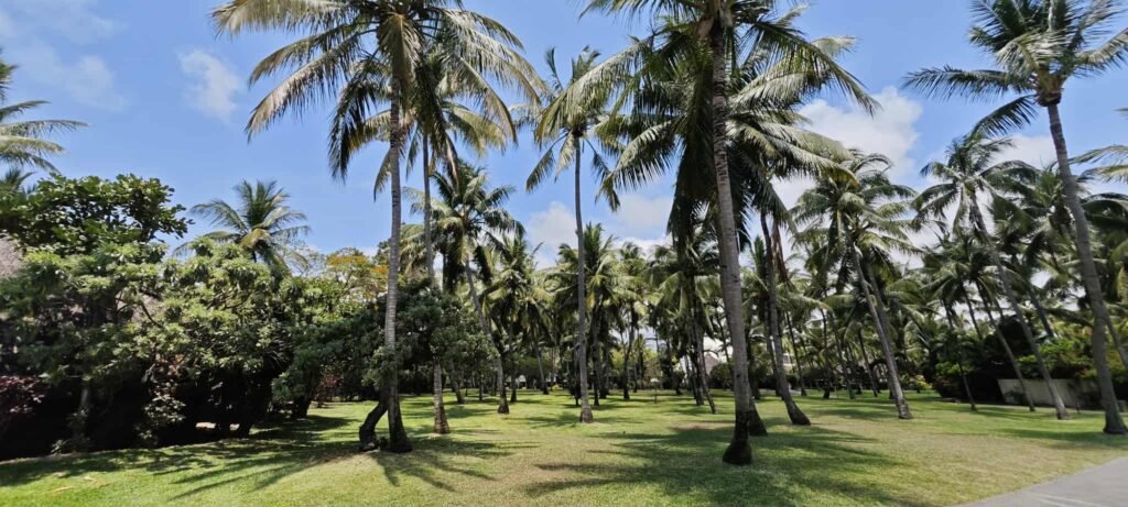 Mauritius — The Island We Always Dreamed Of 14 att.ofnuvpz85pv imcilewapxwzupryubqhuk1ie9arhv8 Mauritius — The Island We Always Dreamed Of
